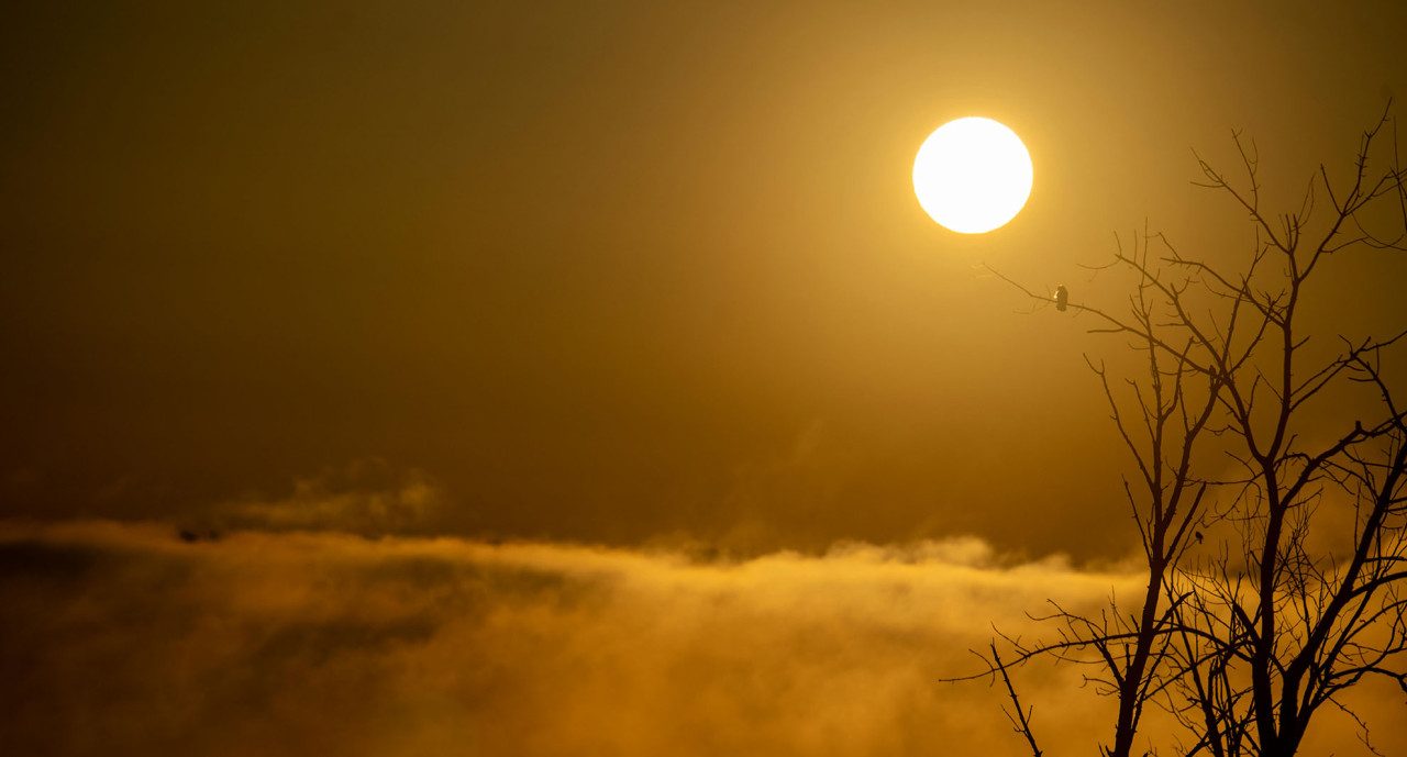 Contra-revolución al vacío