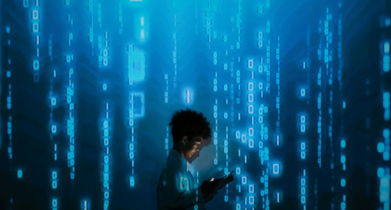 La relevancia de las IES