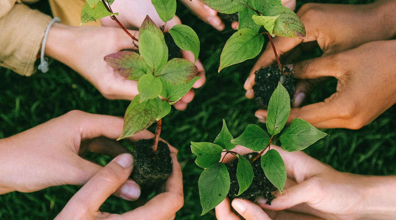 pexels-shvetsa-5029853