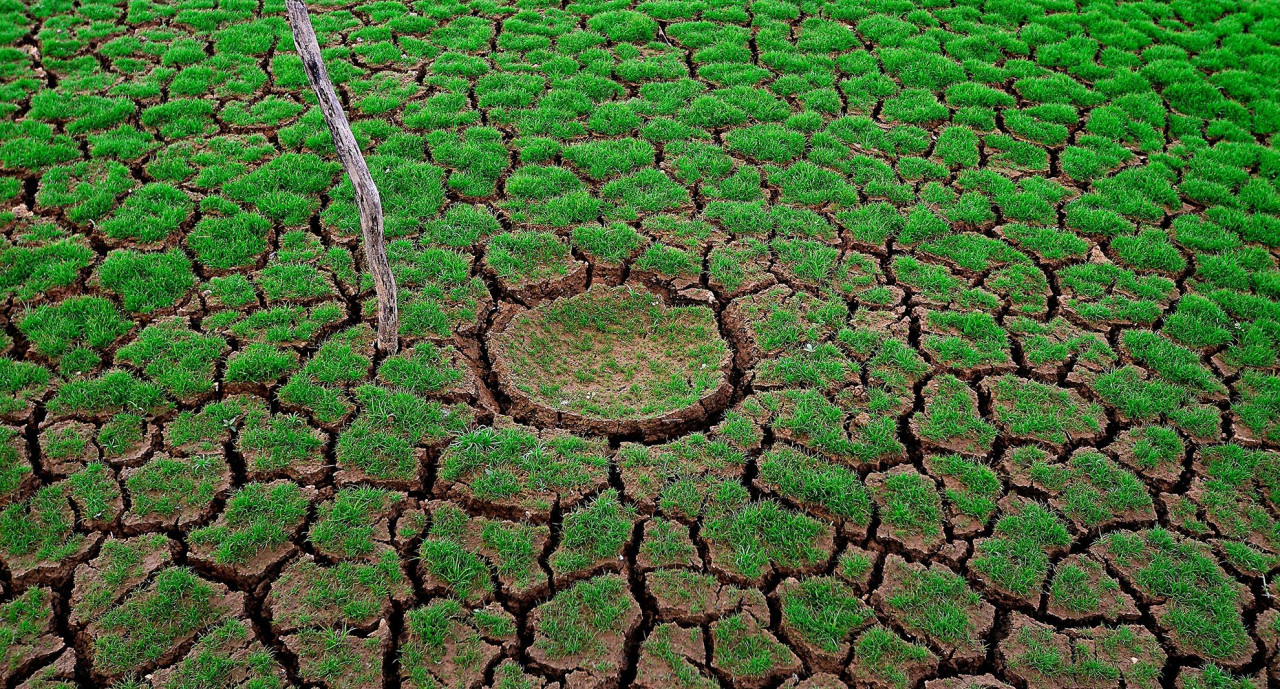 Los altibajos de la sostenibilidad empresarial: De la ignorancia, a la confusión, a la expansión, a la banalización, a la euforia, al revuelo, a sincerarse