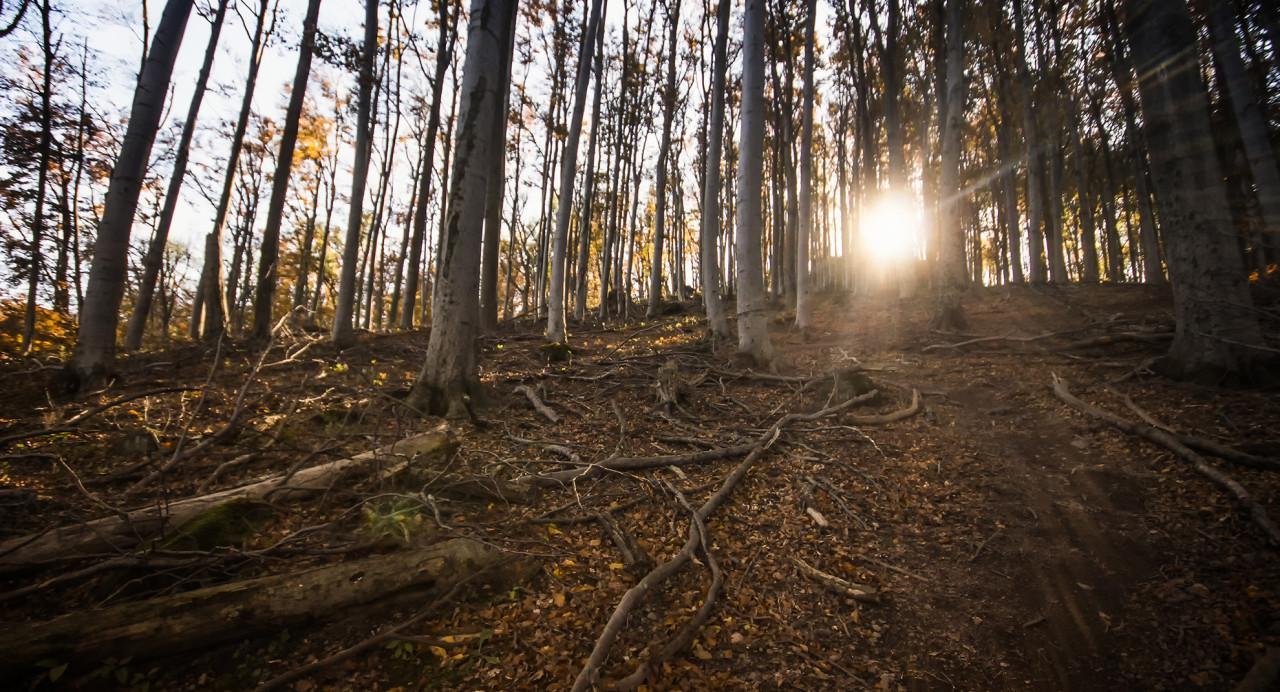 ¿Qué es la moda sostenible?