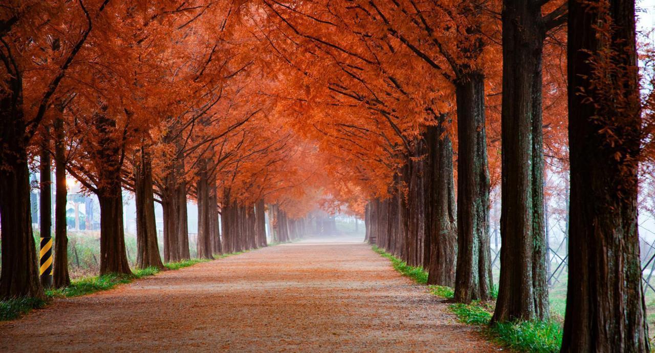 Sostenibilidad Vs. Sustentabilidad: 3 razones de negocio para tomar partido