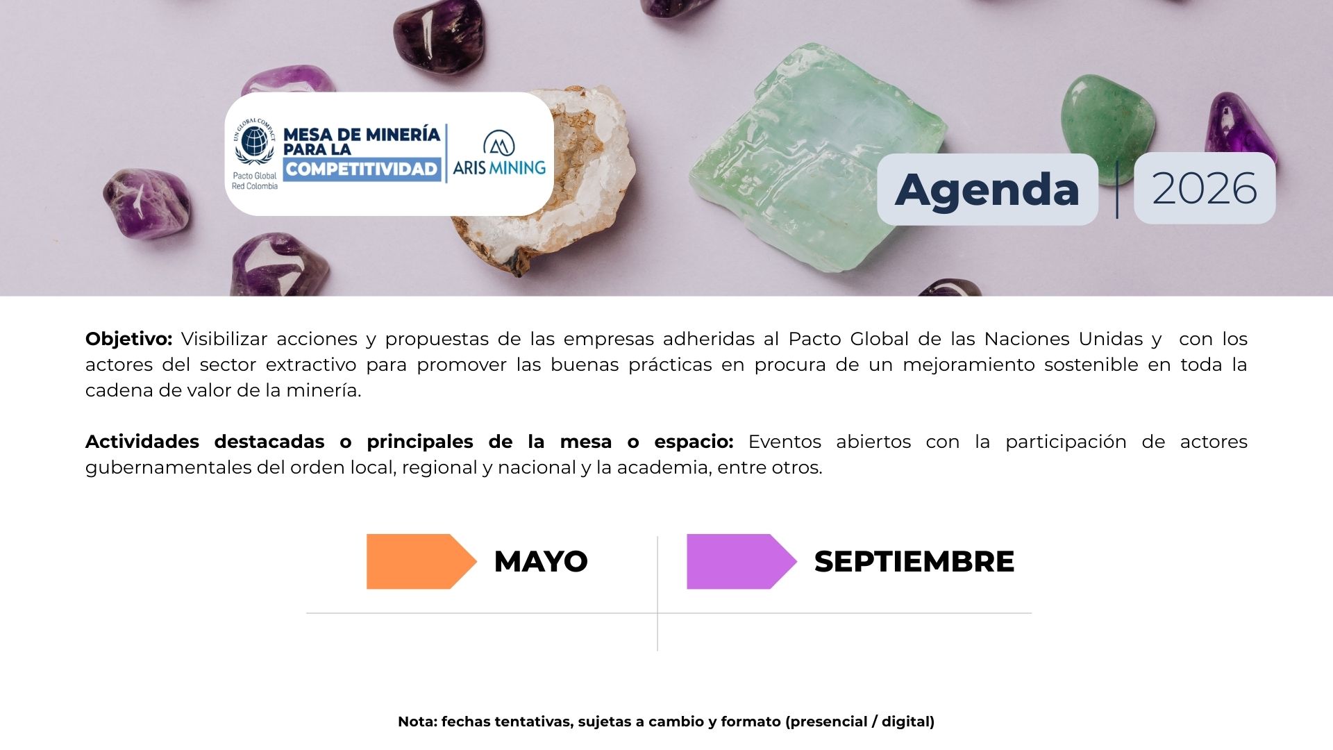 Mesa de Minería para la Competitividad