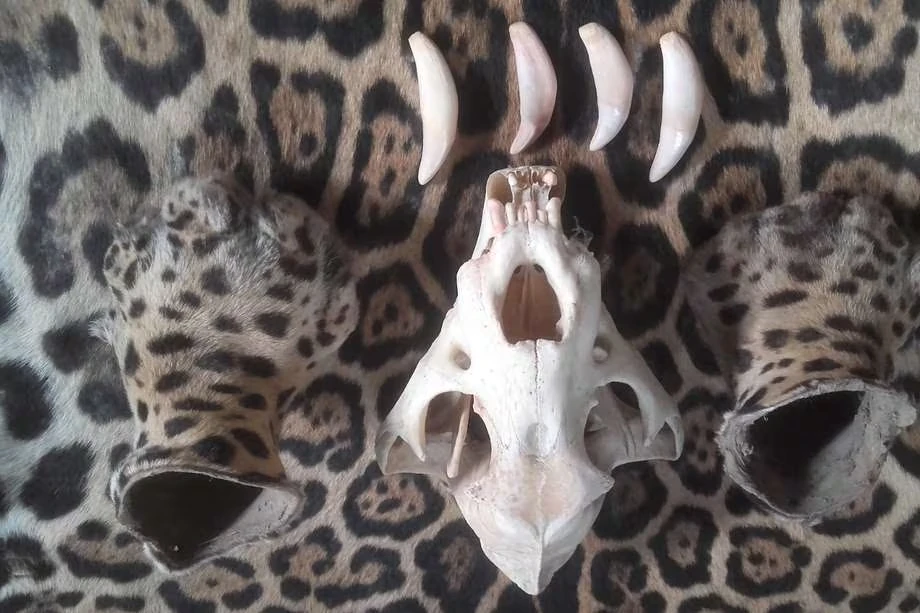 FTYURBNRQFHK7CPYPXNGQKCP4I 16549