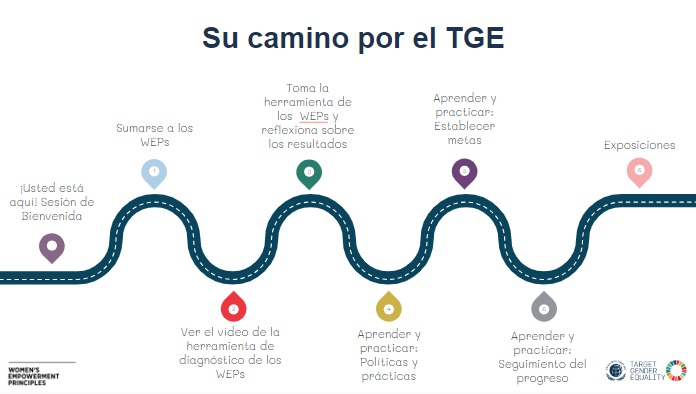 GUIASTGE 2 edb03