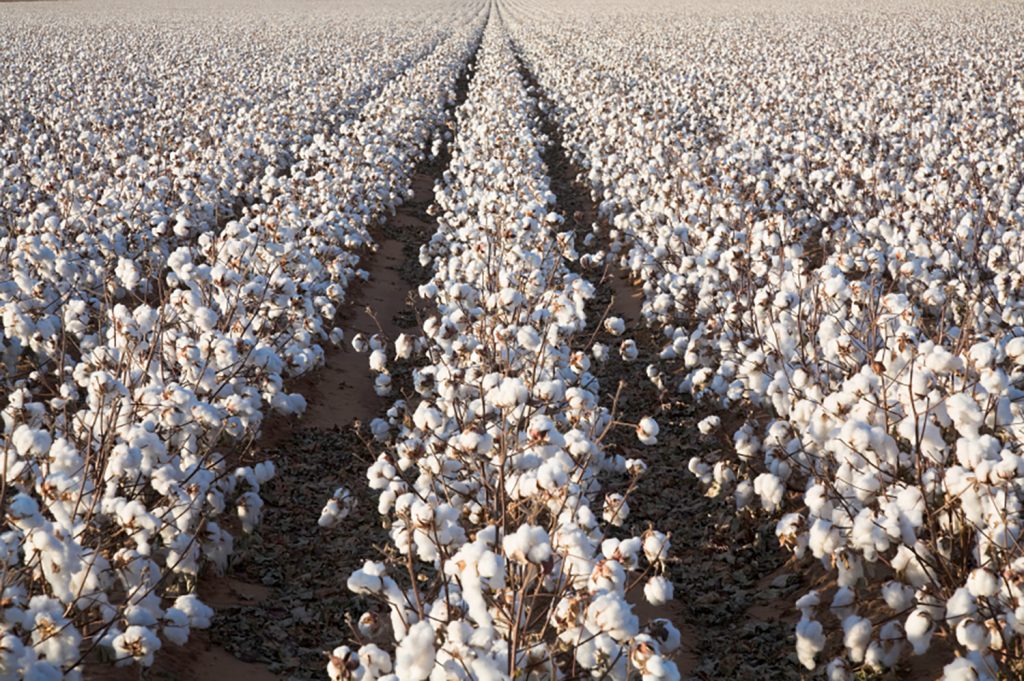 Proteger los océanos de la contaminación por microfibras