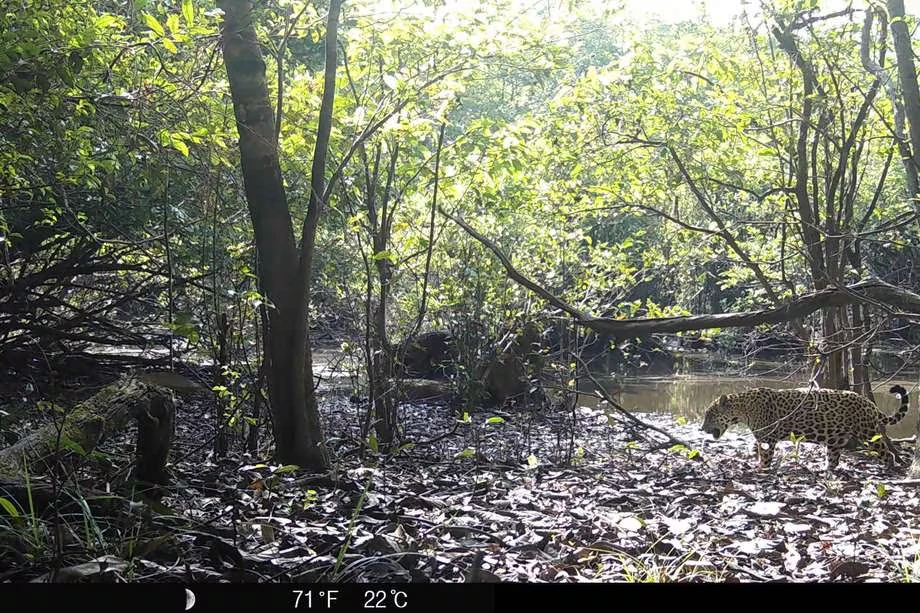 DYM5F4U5VJCM7AHREXDGQF72RU c74b8