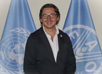 medium AZ Perfil 7c013