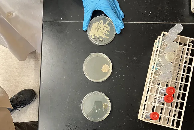 17439285486469 62793