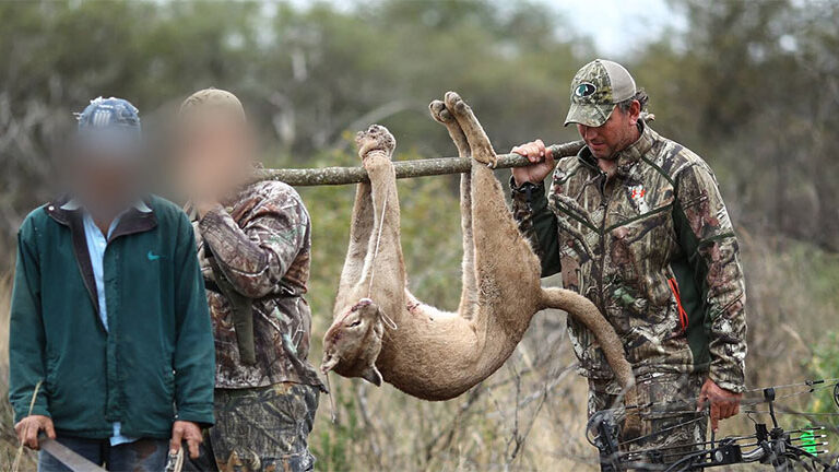 Argentina 8 Foto Facebook de Jason Bruce d0f44