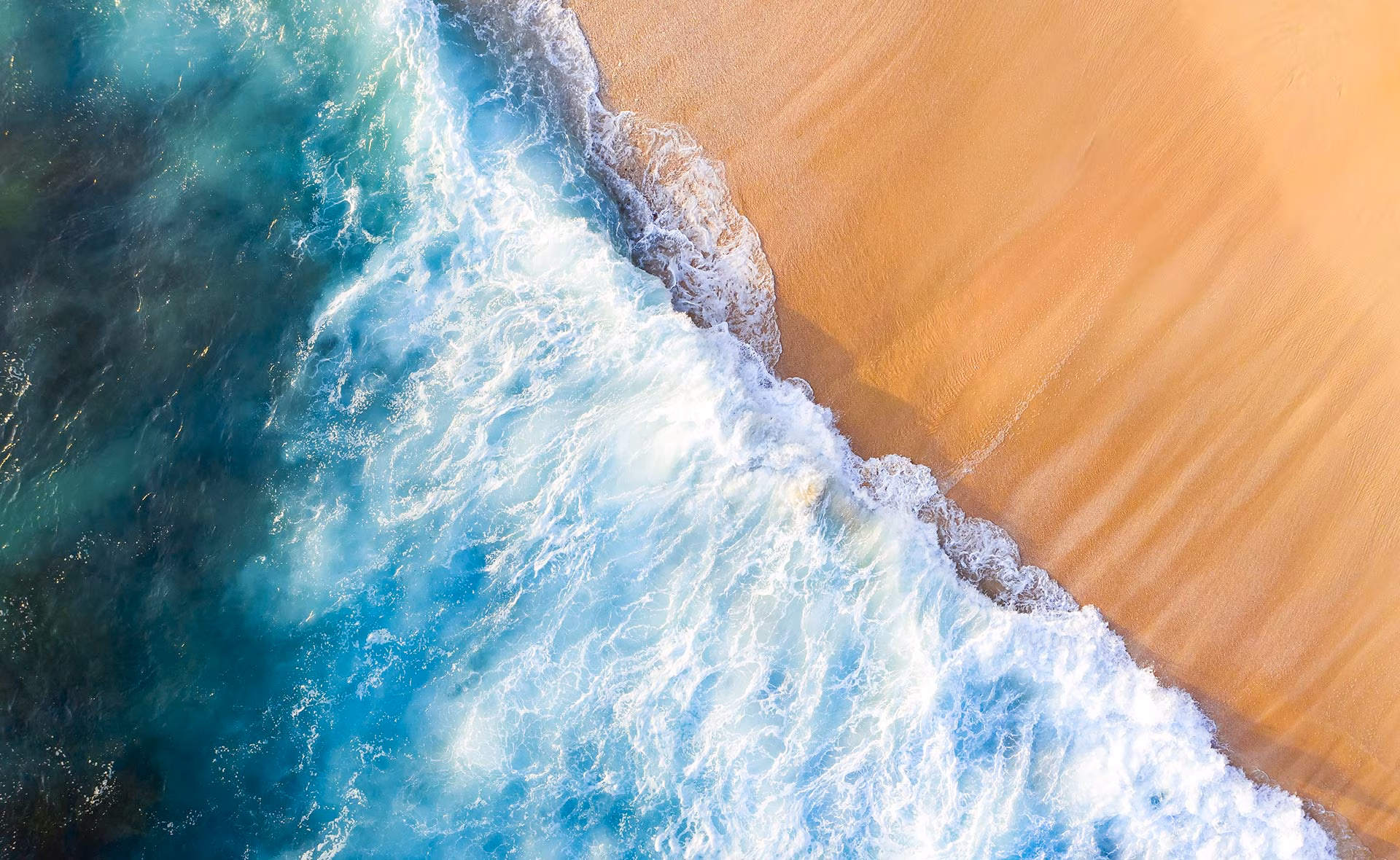 BBVA oceanos sostenibilidad cambio climatico medioambiente c0be2