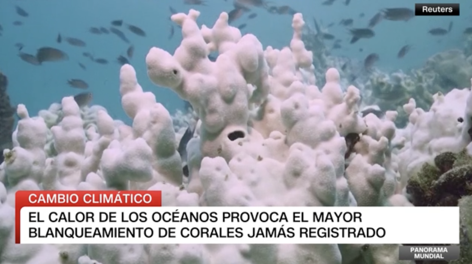 Captura de pantalla 2025 05 05 a las 21.35.00 6508d