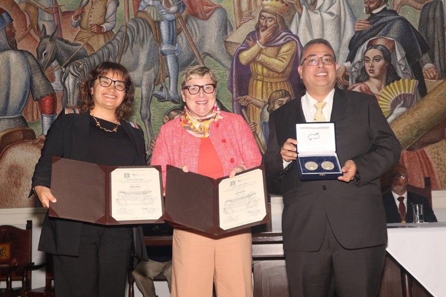 CordilleraAndesAranaVaquita 2 43346