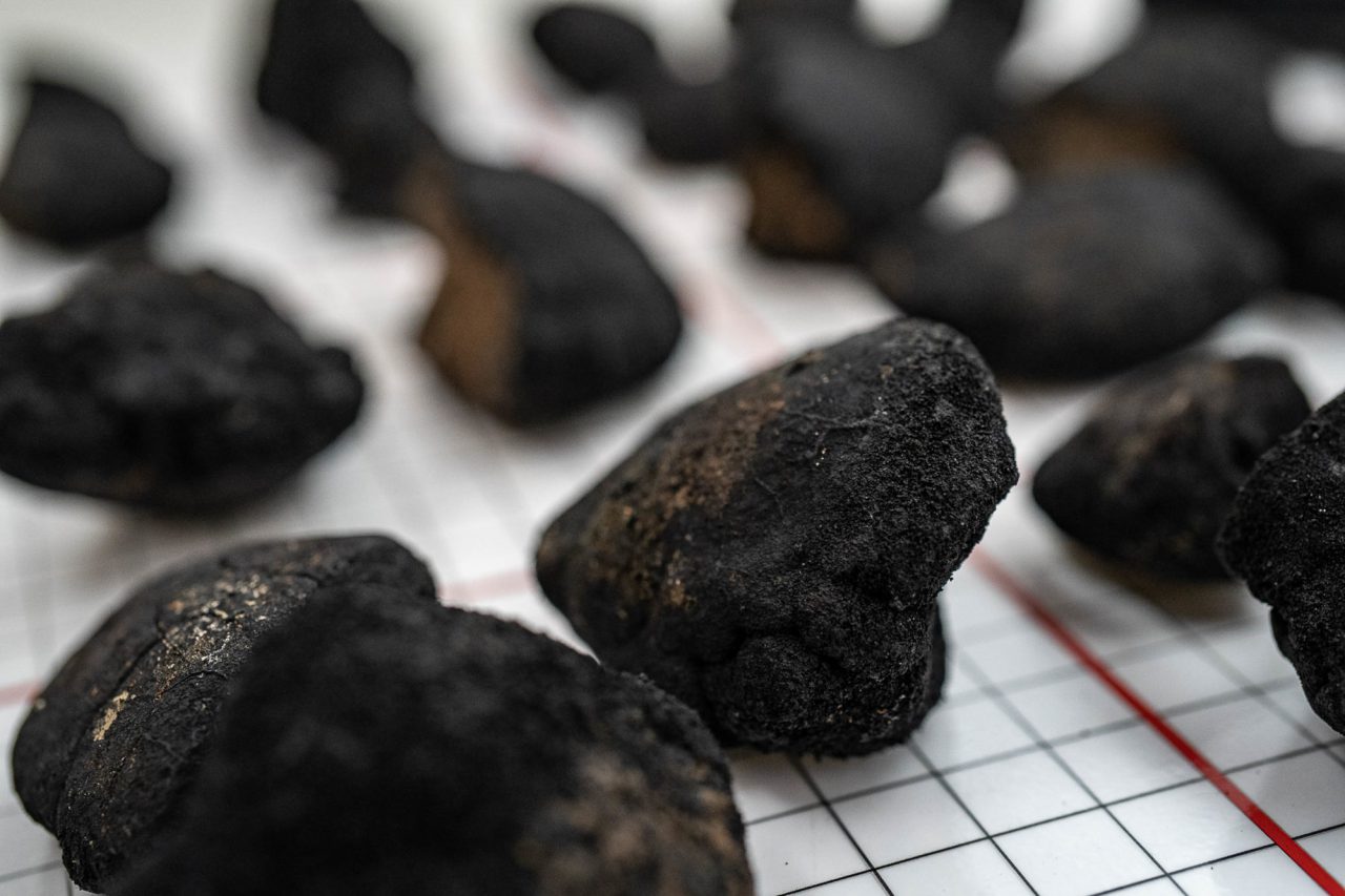 DSC07067 e1572029919131 1280x853 1 453d6