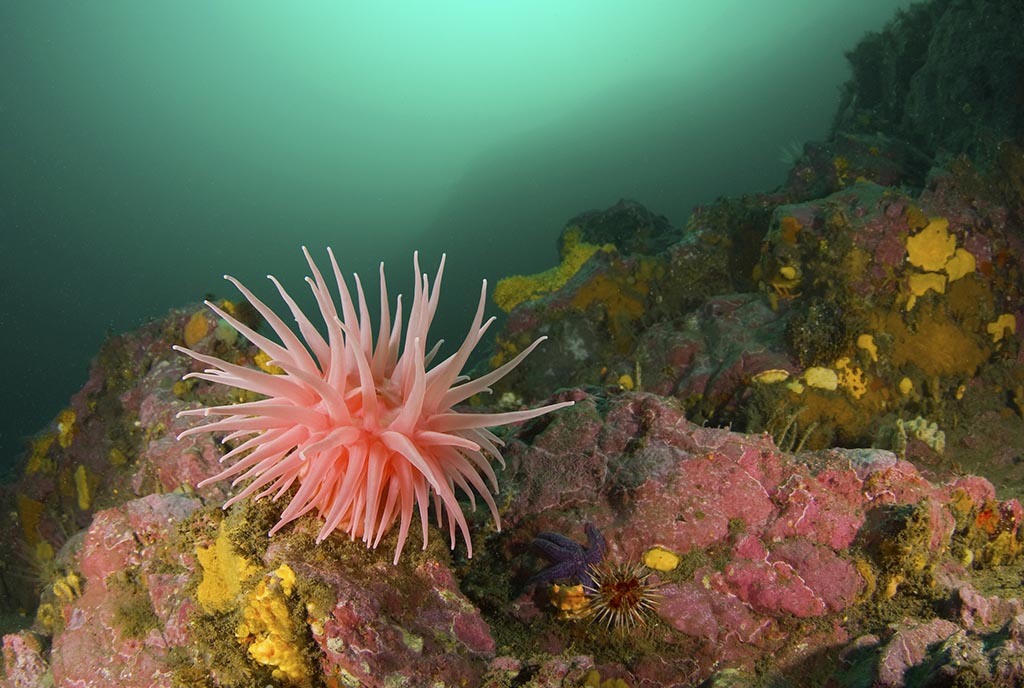 Foto Eduardo Sorensen 1 e83f2