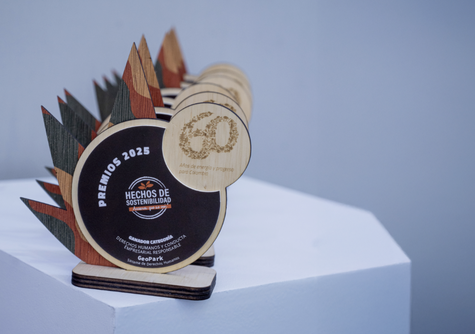 Foto Hechos de Sostenibilidad 56bbb