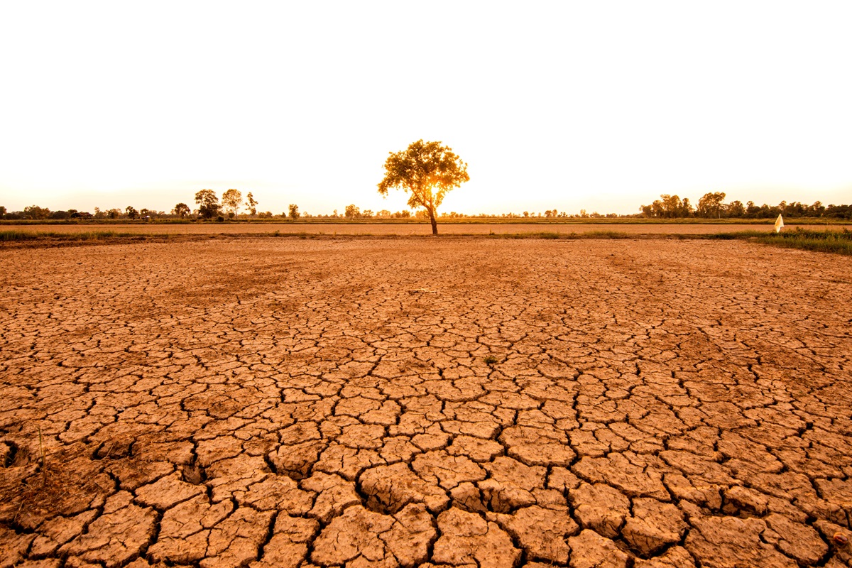 Foto cambio climático 4b7b7