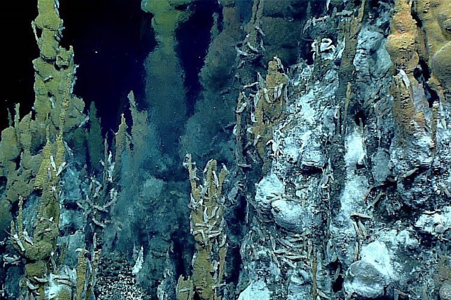 Fuentes hidrotermales Oceana Chile 1 67c50