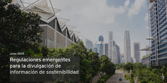 GREENWASHINGJUNIO b7b27