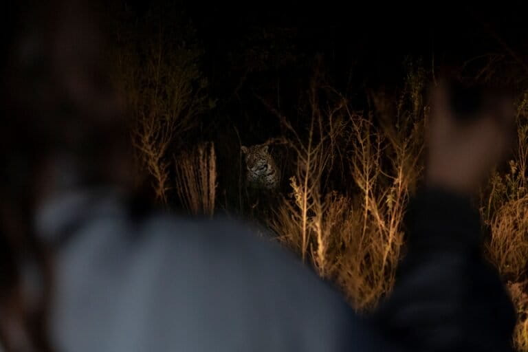 NATURE TOURISM AS A NEW REGENERATIVE ECONOMY Sebastian Navajas 04794 768x512 98bd6