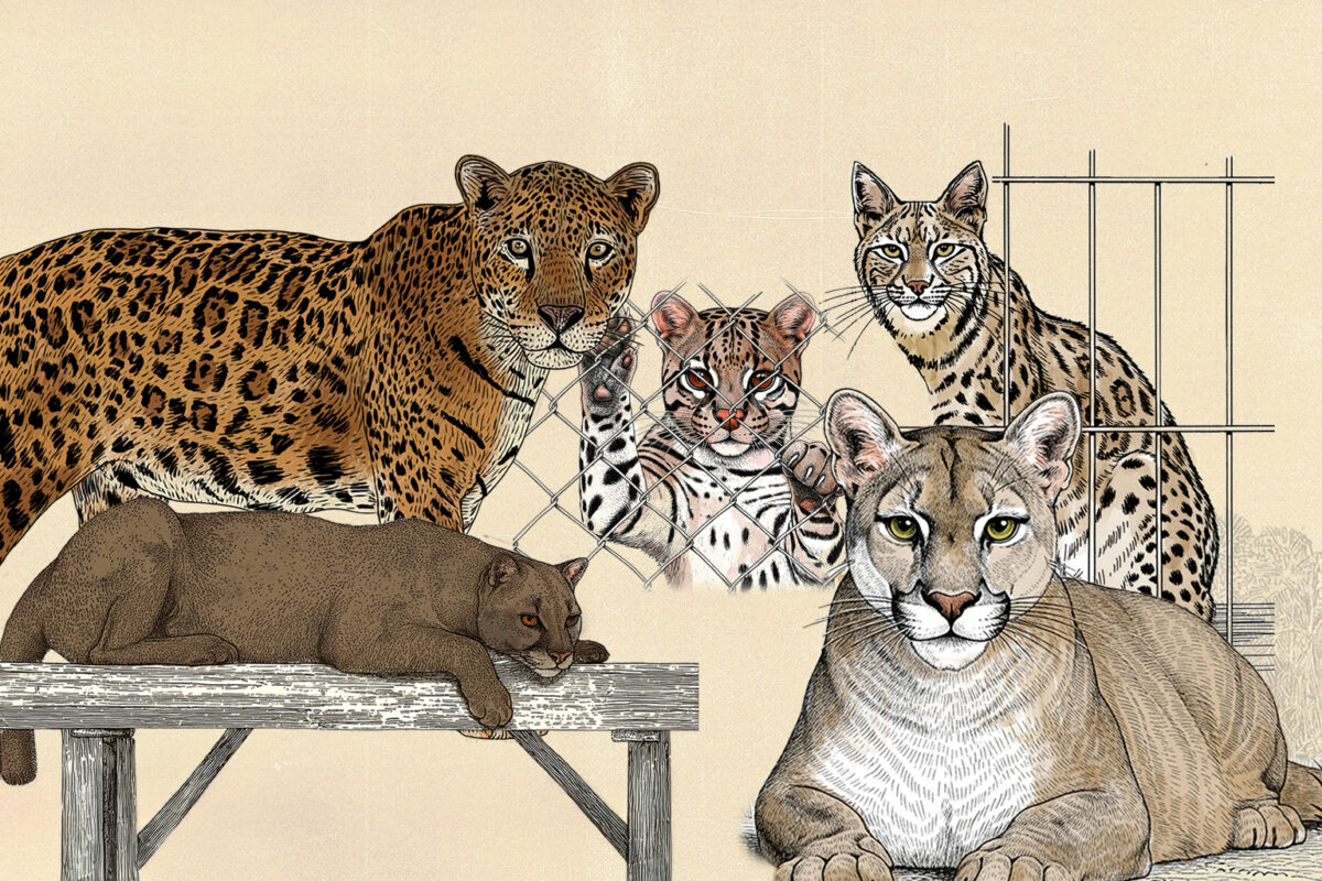 Portada V4 1200x800 bde98