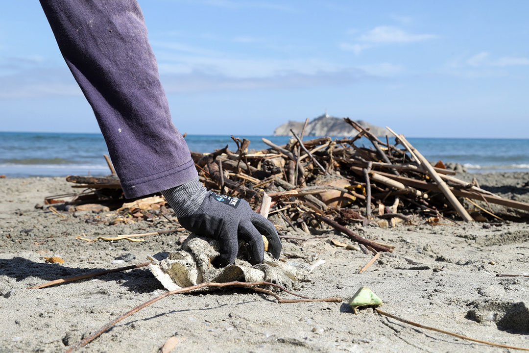 Recolección 2 c0693