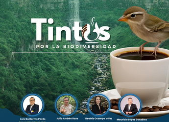 Tintosdiversosmarzo 3e601