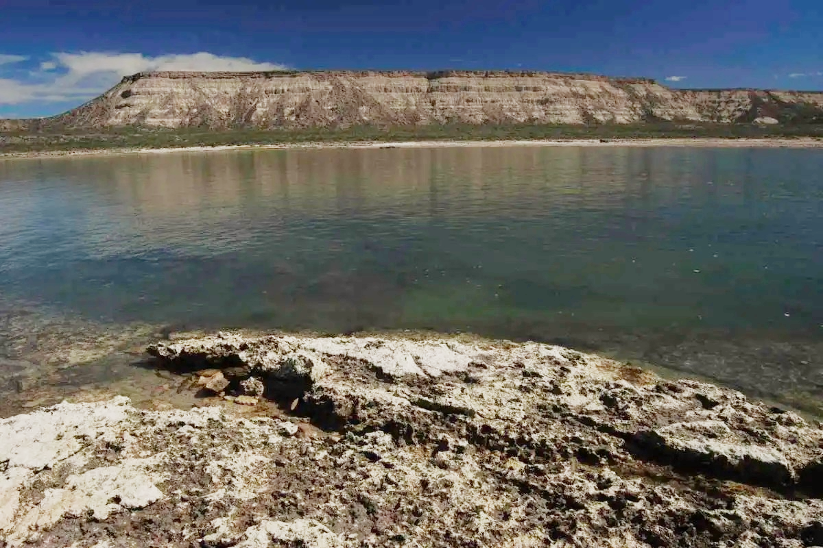 ballenamongabay2 4b46c