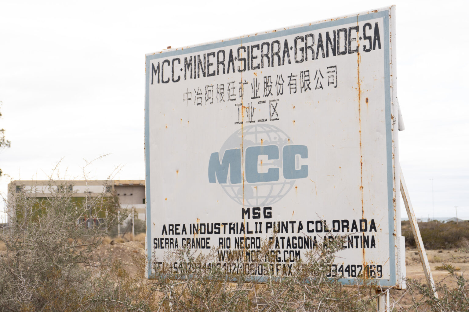 ballenamongabay7 48d2e