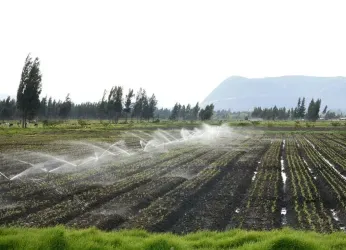 Estos son los modelos de producción sostenible que se pueden...