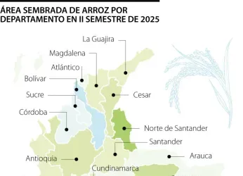 Casi 6.000 toneladas de arroz de la primera cosecha no saldrían...