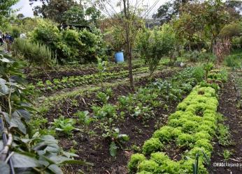 La ruta invisible de los alimentos: logística que impacta a la...