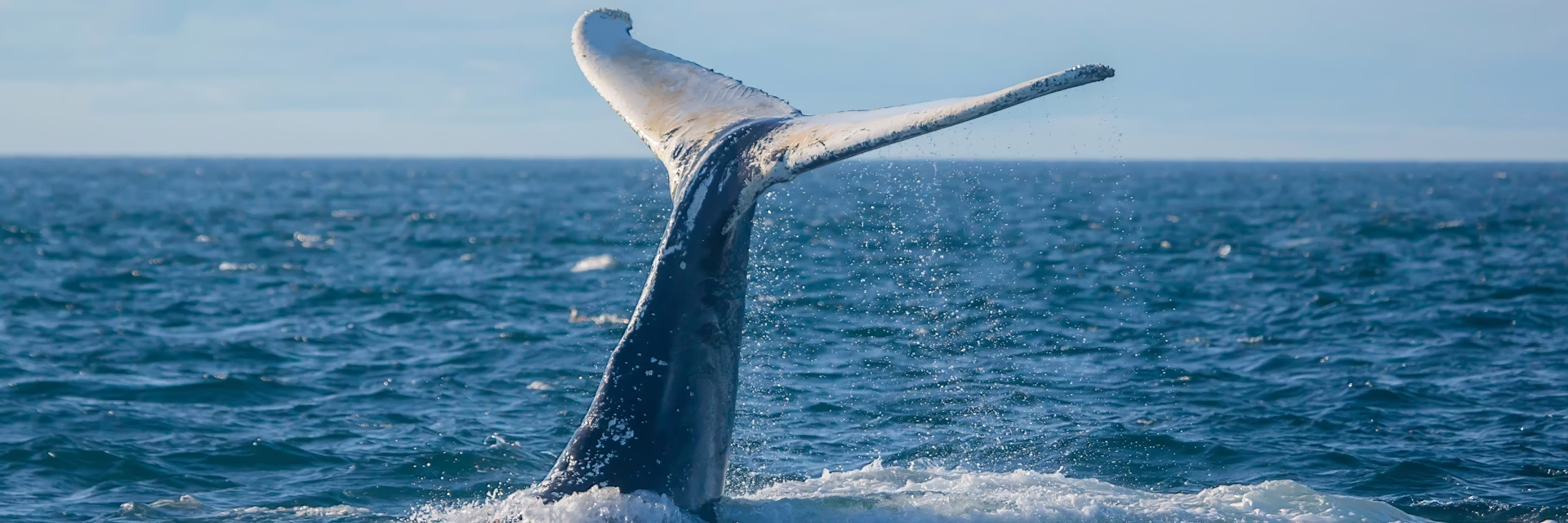 file 20260120 56 v8bazx 0fbbf