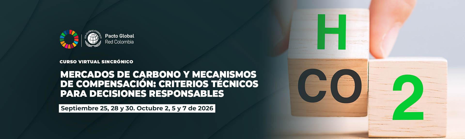 MERCADOS DE CARBONO Y MECANISMOS DE COMPENSACIÓN: CRITERIOS TÉCNICOS PARA DECISIONES RESPONSABLES