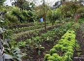La ruta invisible de los alimentos: logística que impacta a la Tierra y encarece lo que comemos