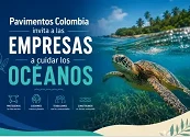 Empresas, educación y conservación: una alianza para proteger los océanos y las tortugas marinas en Colombia
