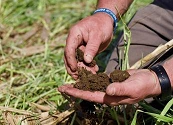 Cuidar el suelo para alimentar el futuro